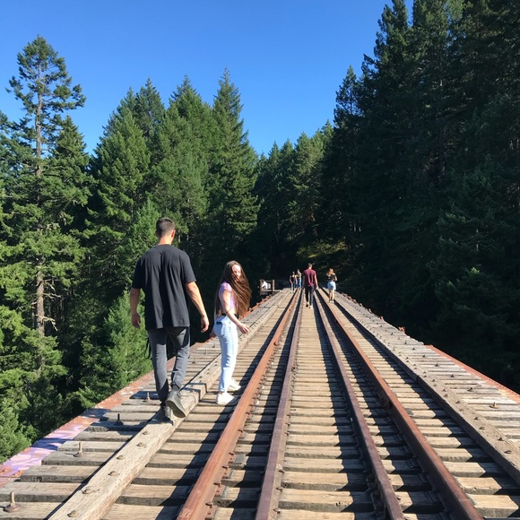 Meet your Posher, Ellie - Picture 1 of 1